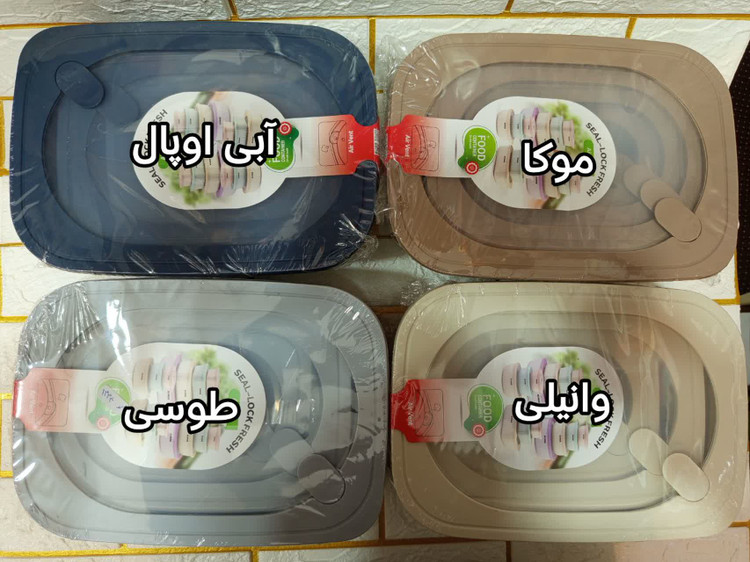 ظرف فریزری سوپاپ دار ۴ تکه موج هوفیلوس